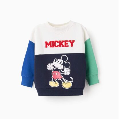 Buso Mickey Mouse - Zippy